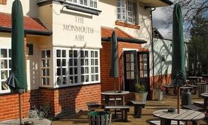 The Monmouth Ash