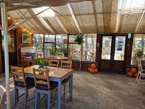 The Daisy Tea Garden