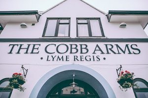 Cobb Arms