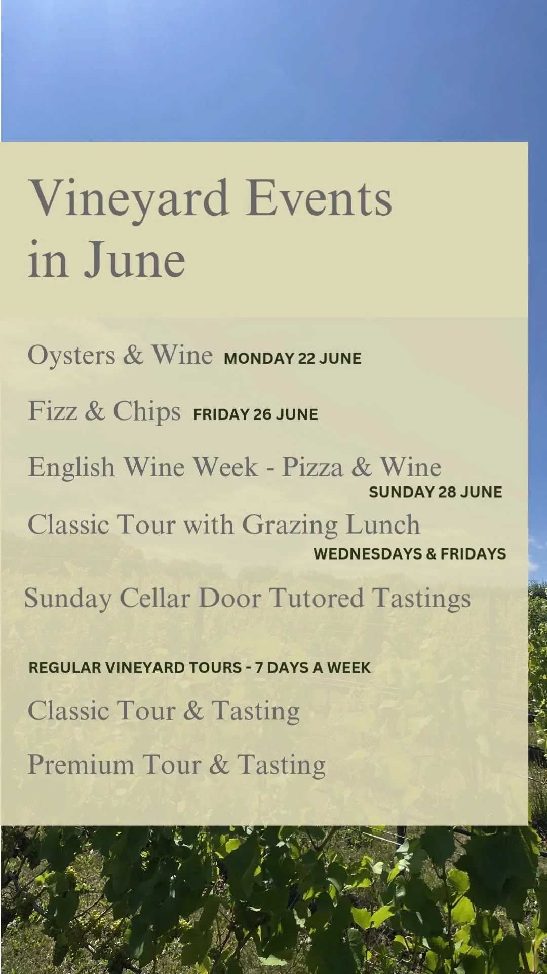 Woodchester Valley Vineyard hen party activity in Bath