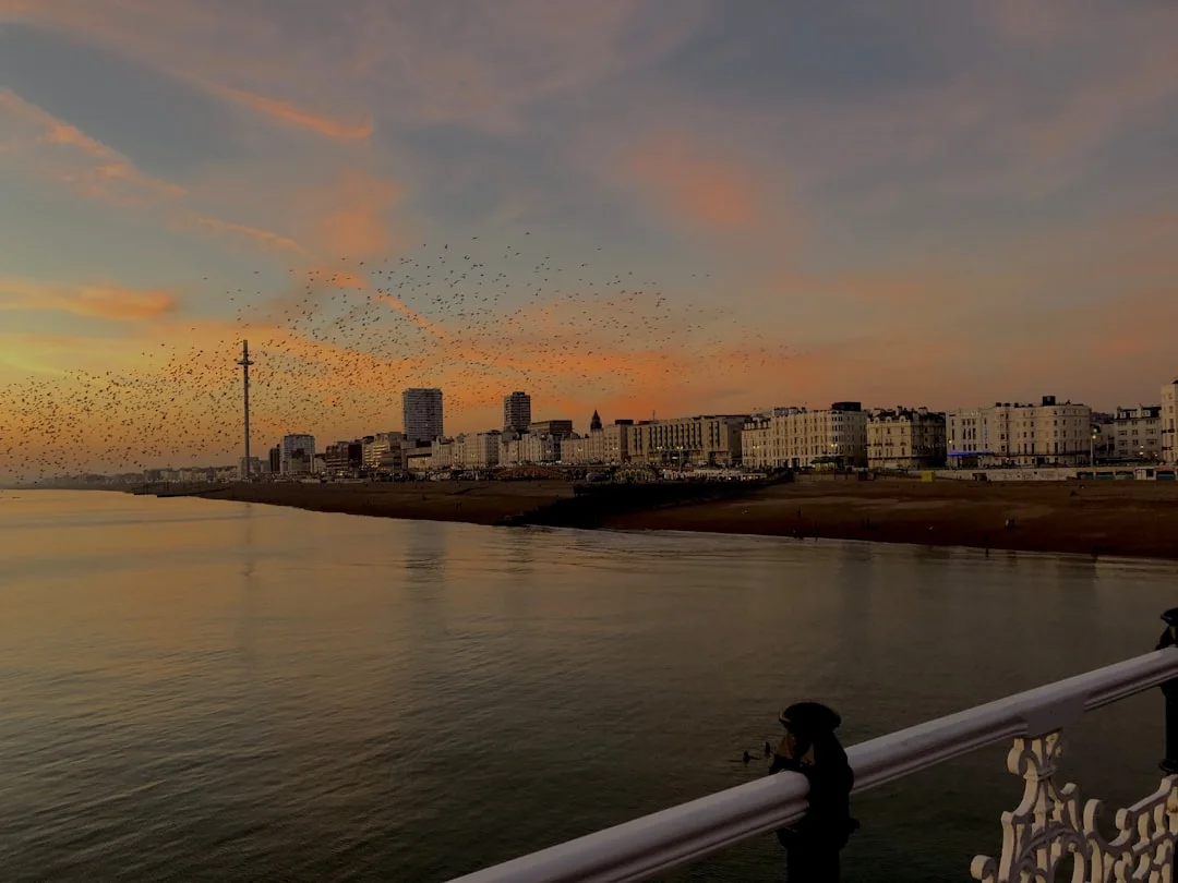 A flock of birds flies over the Brighton skyline and sea during a vibrant orange and pink sunset