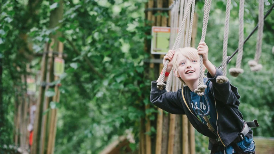 GoApe Forest of Dean hen party activity in Cheltenham