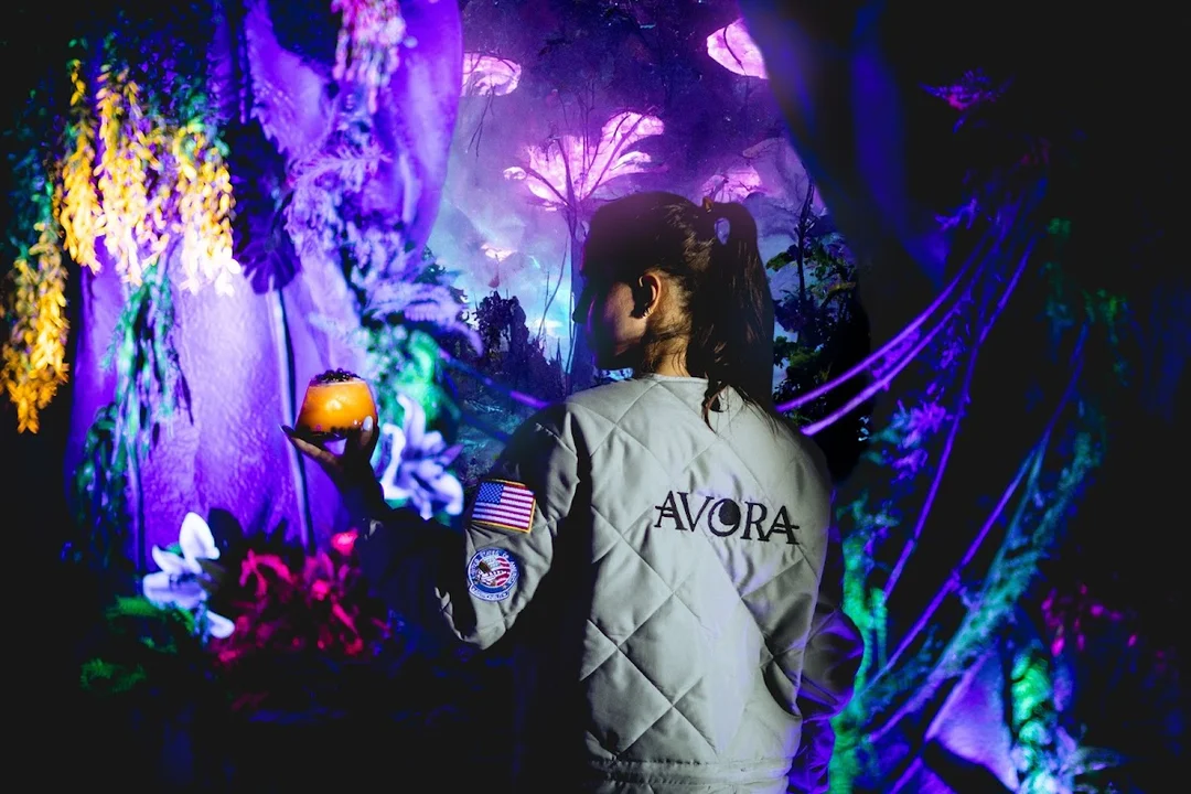Avora hen party activity in London