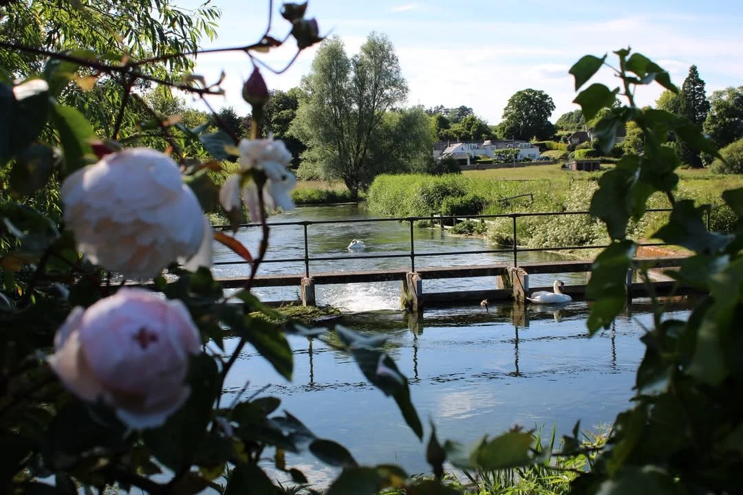 The Greyhound on the Test hen party activity in Hampshire