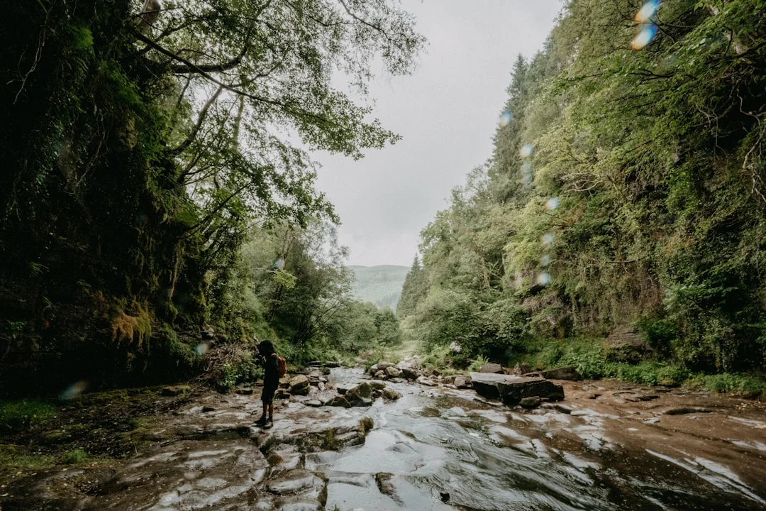 A person standing on a rocky riverbed surrounded by lush green trees in a deep gorge