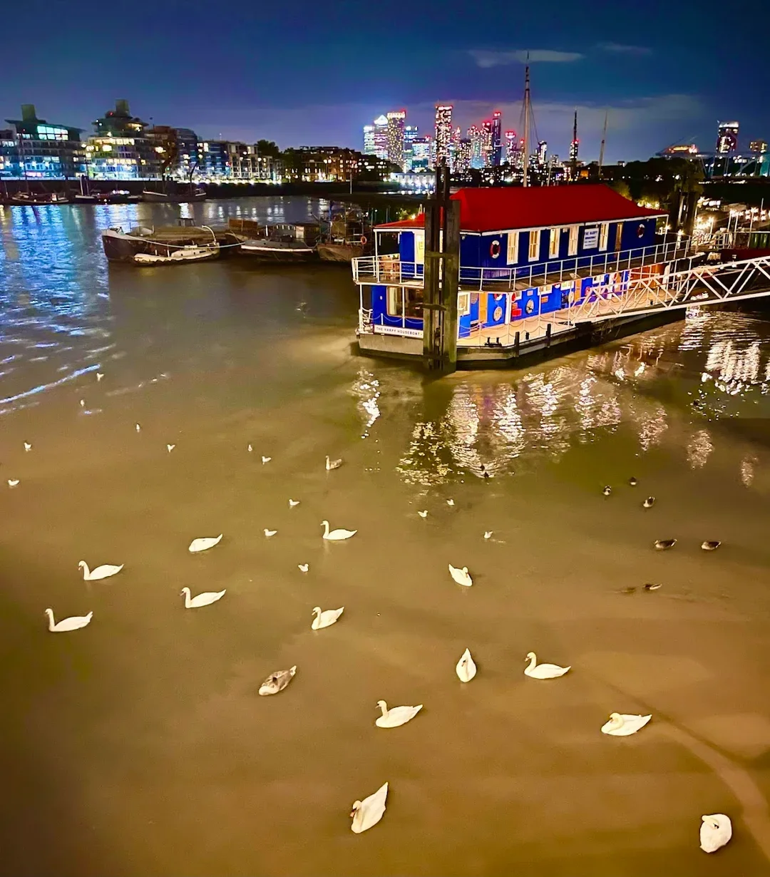 The Harpy Houseboat hen party activity in London