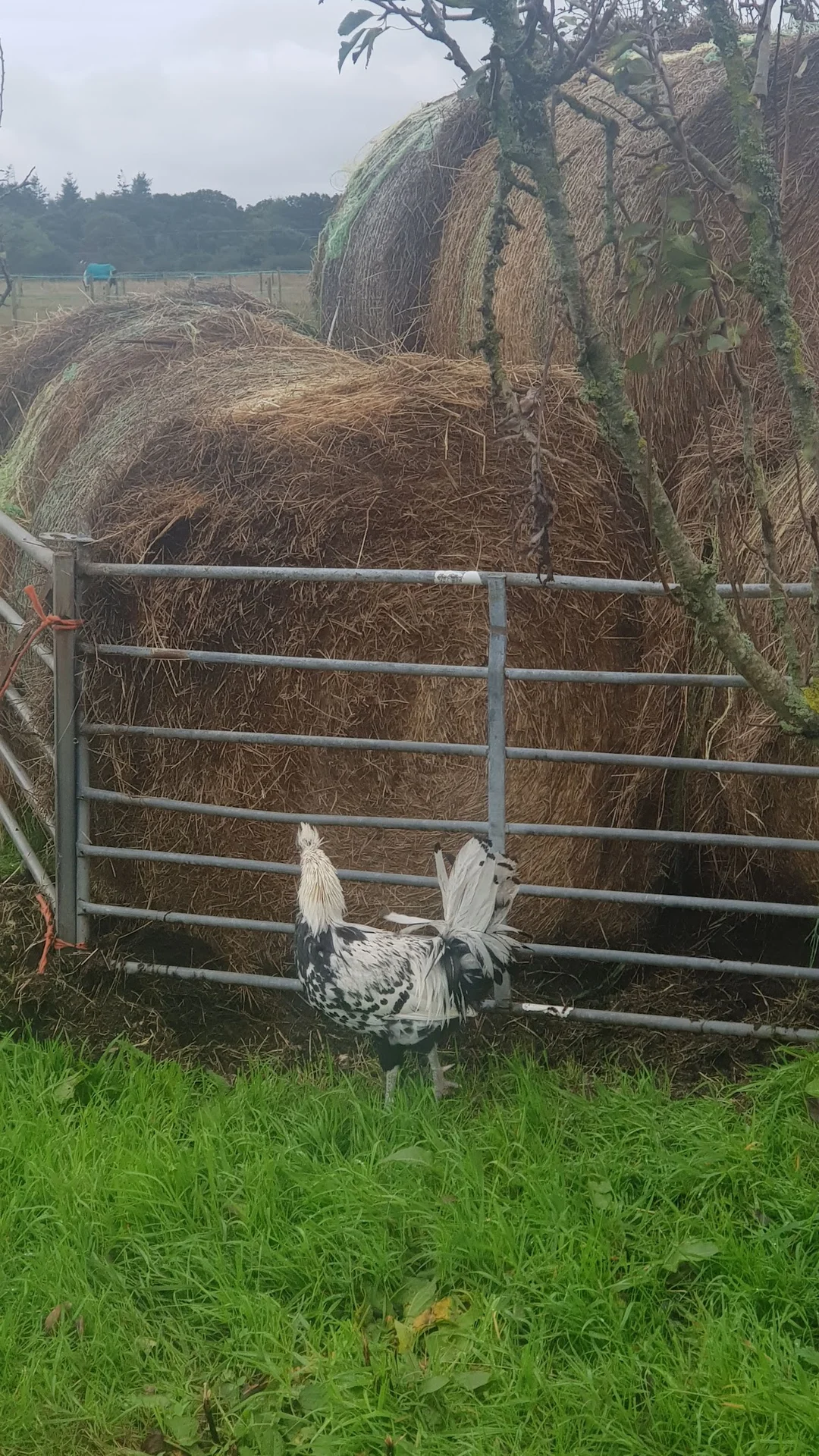 Warborne Farm is one to shortlist for the hen weekend plan