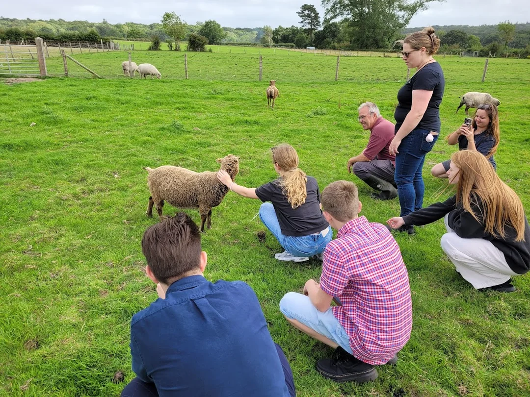 Countryside Education Trust hen party activity in New Forest