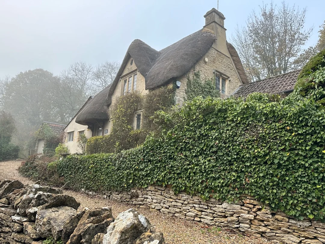 A traditional thatched stone cottage behind a tall ivy hedge on a misty day in the New Forest