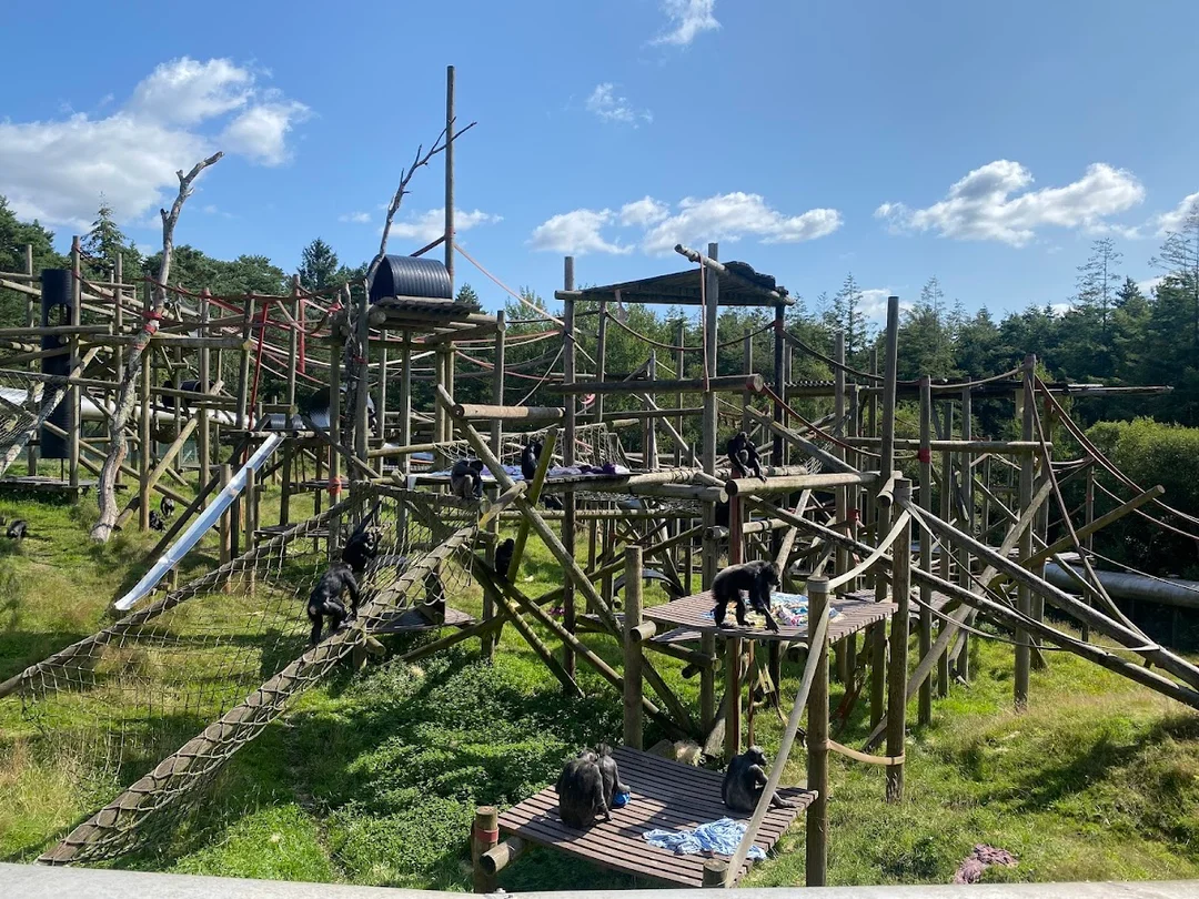 Monkey World hen party activity in Weymouth