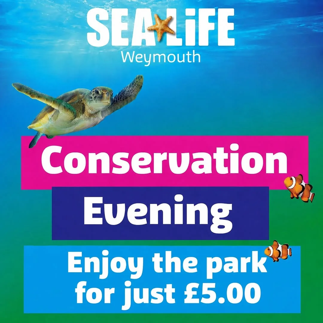 SEA LIFE Centre Weymouth hen party activity in Weymouth