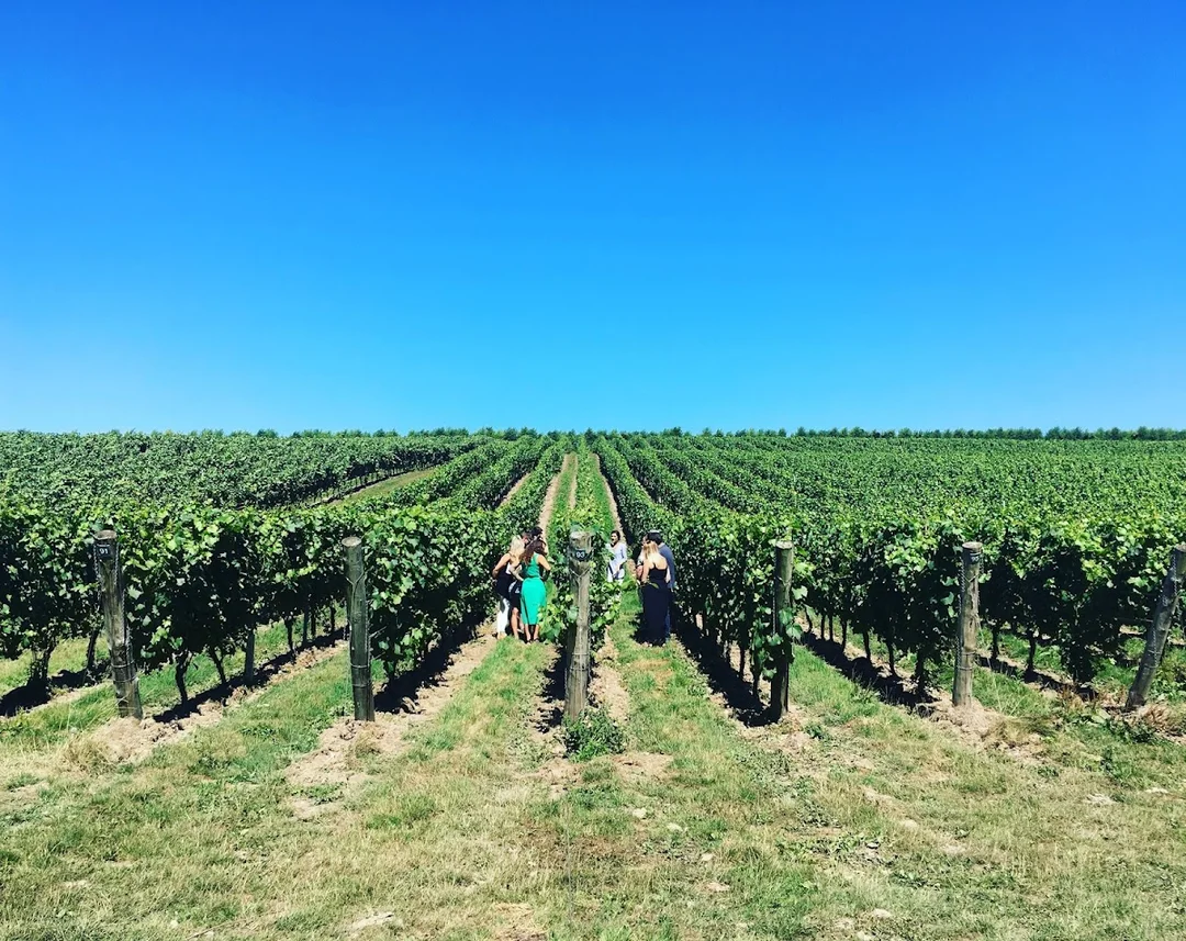 Great British Wine Tours hen party activity in Brighton