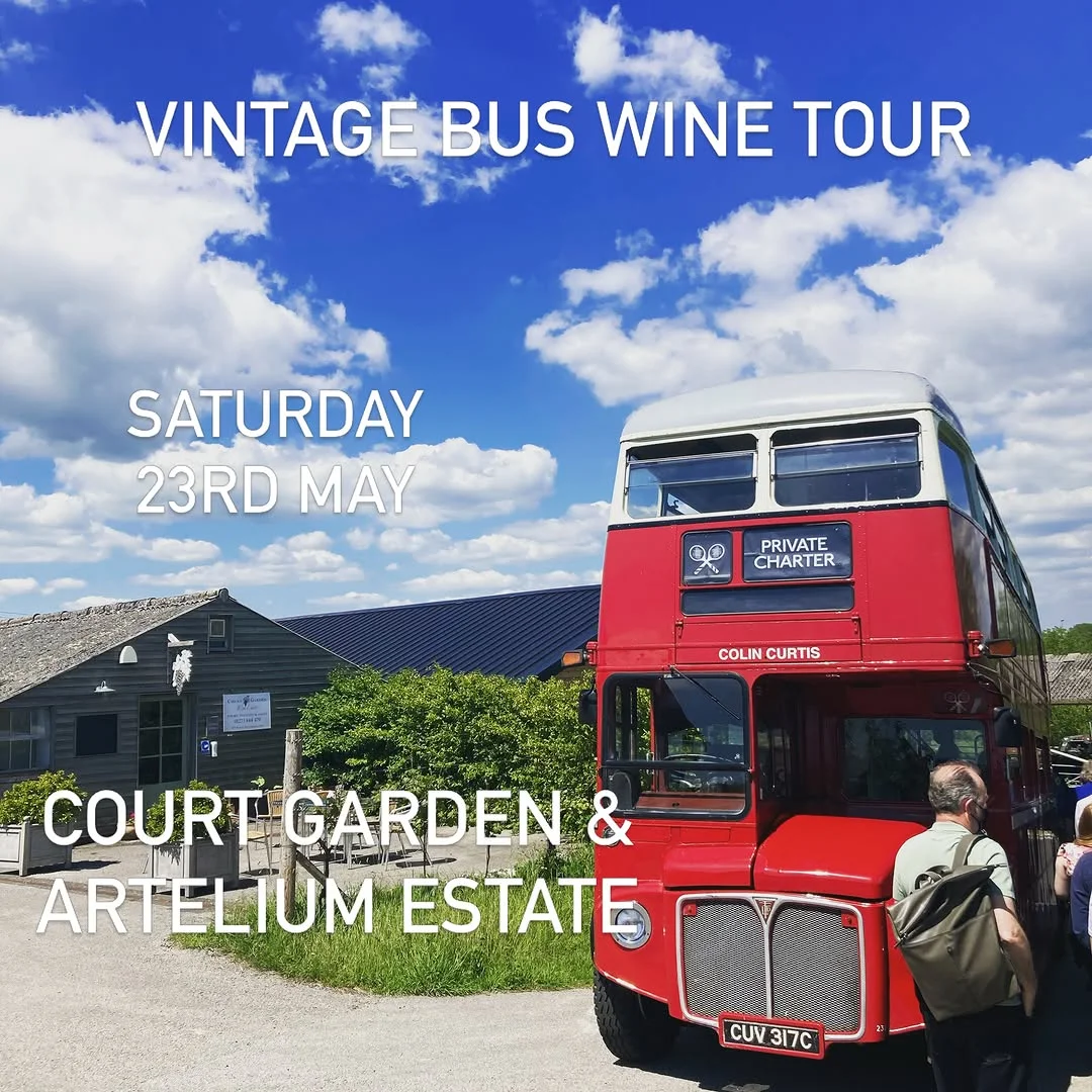 Great British Wine Tours hen party activity in Brighton