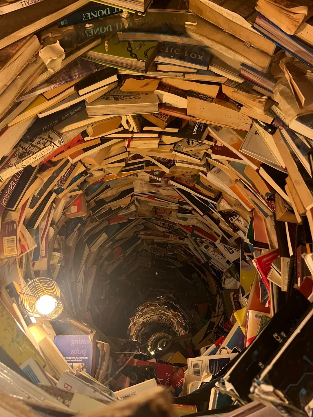 A group exploring the colourful, surreal, and immersive art installations at Wake the Tiger in Bristol.