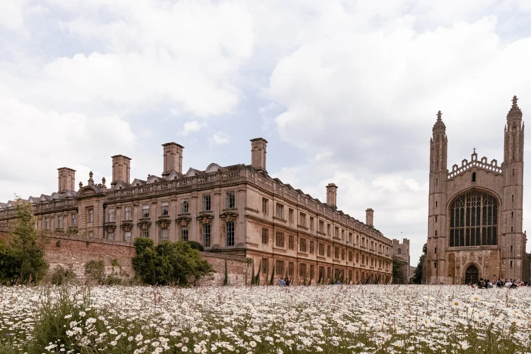 King's College Chapel and Gibbs Building in Cambridge, seen from a field of white daisies under a cloudy sky