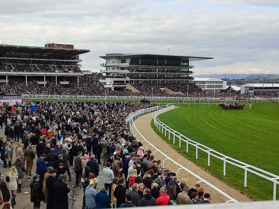 A wide shot of the bustling grandstand and race track at Cheltenham Racecourse on a sunny day.