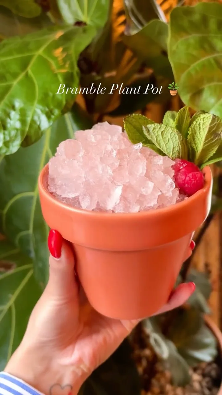 We’ve got some NEW editions on our drinks menu, just in time for spring! ☀️

🪴  Bramble Plant Pot - Beefeater Pink Gin, lemon and fresh raspberries muddled and topped with créme de mure, garnished with mint and raspberries

🍍 Palm House Colada - A clarified milk punch made using Bacardi Coconut, Bacardi Caribbean Spiced, pineapple juice, coconut, lime and milk

🍉 Watermelon Spritz - Midi Blanc Aperitif, Melonade and watermelon juice, topped with prosecco and soda - garnished with a watermelon wedge

🍋 Limoncello Spritz - Malfy Limone and limoncello, topped with prosecco and soda - garnished with rosemary for a refreshing, botanical twist

Let us know which one you’ll be trying!