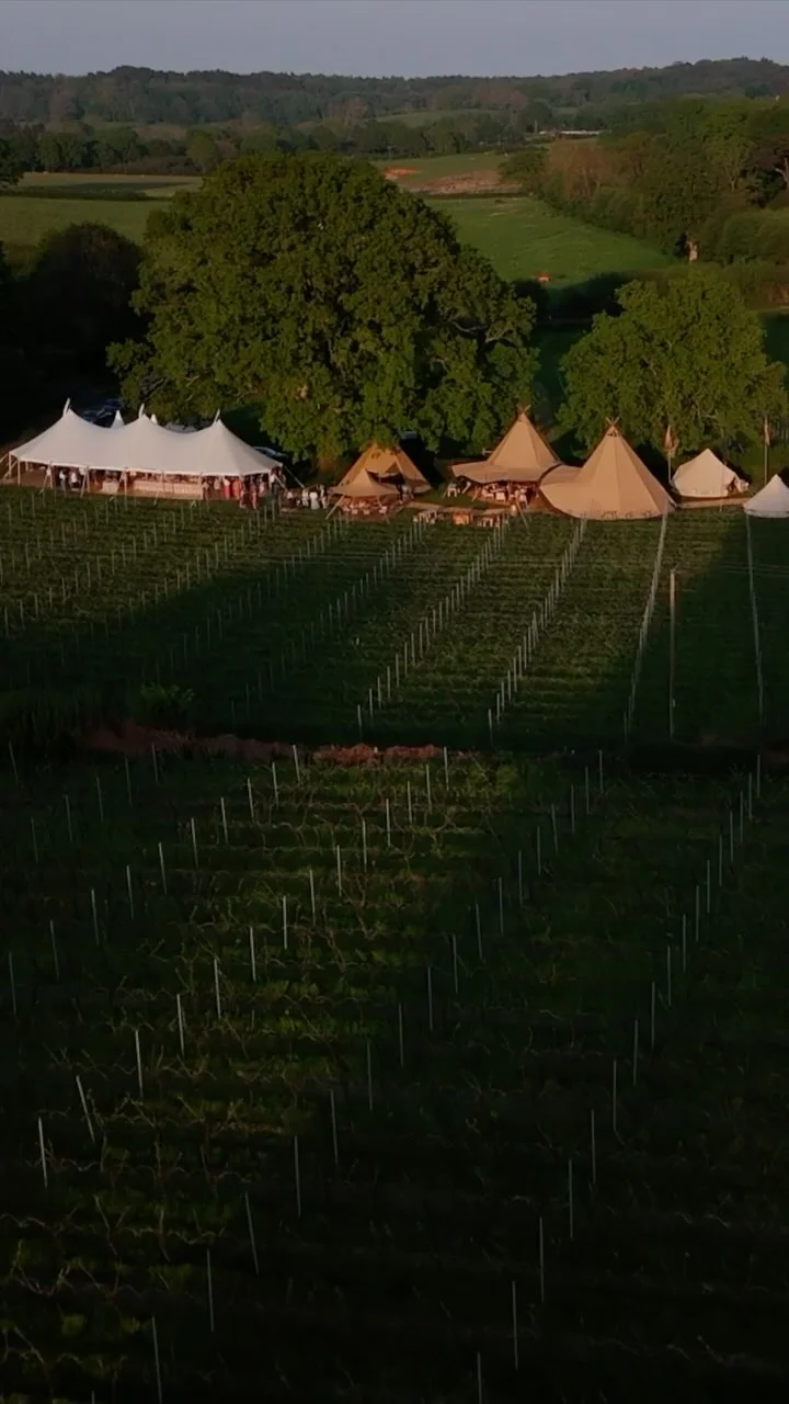 English Oak Vineyard hen party activity in Hen Party Ideas Dorset