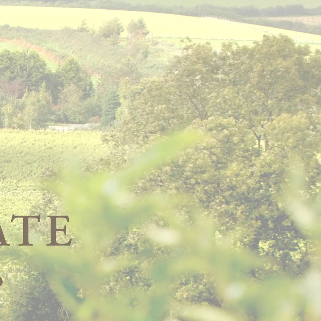 Furleigh Estate hen party activity in Hen Party Ideas Dorset