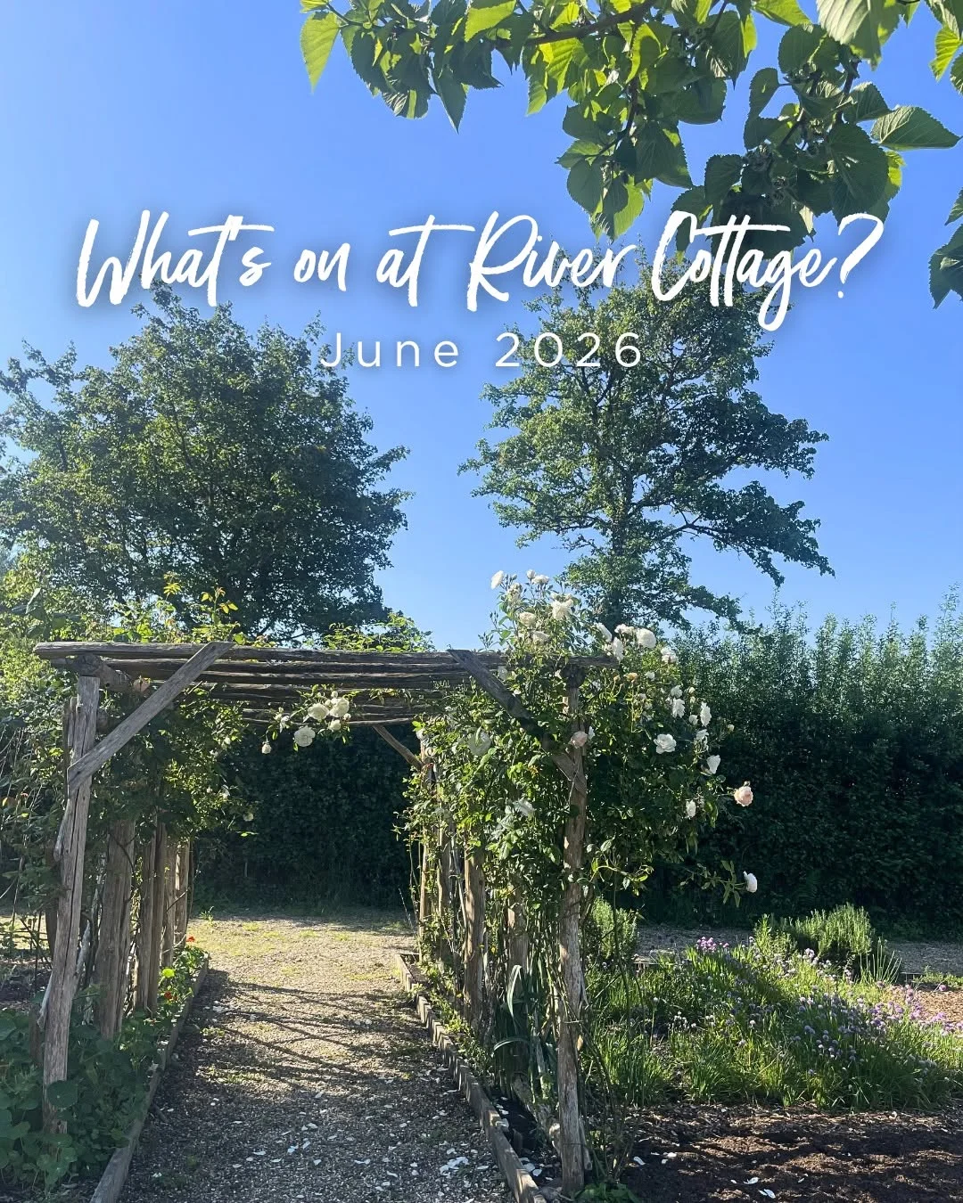 River Cottage hen party activity in Hen Party Ideas Somerset