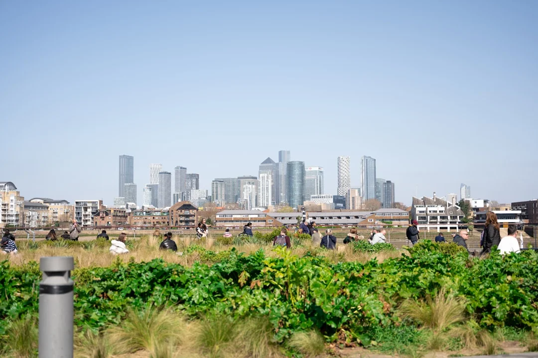 London skyline with skyscrapers behind a green park where people sit under a clear blue sky