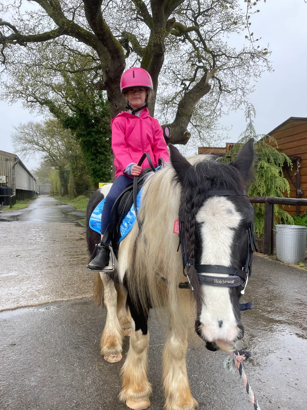 Burley Villa School of Riding hen party activity in New Forest