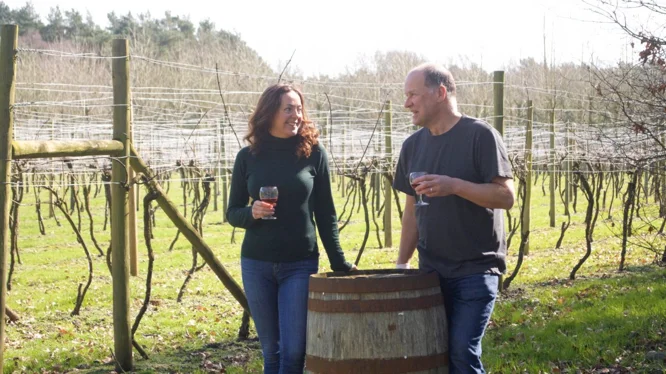 Setley Ridge Vineyard hen party activity in New Forest