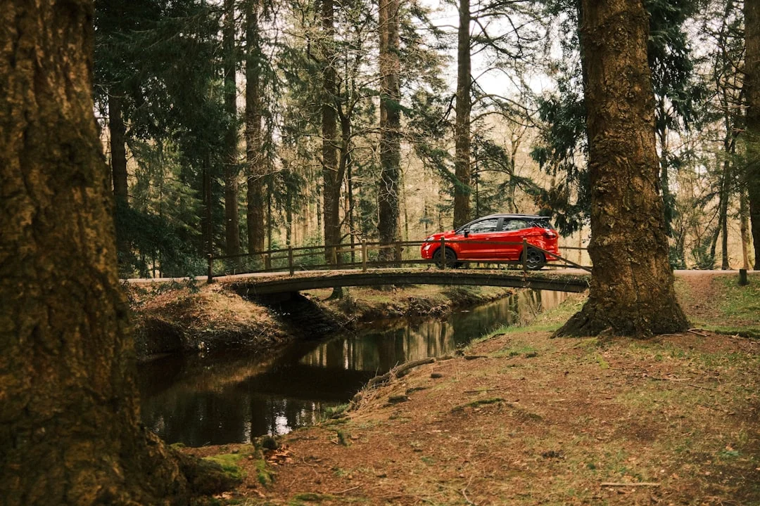 A red car drives across a small stone bridge over a stream in a dense forest with tall trees