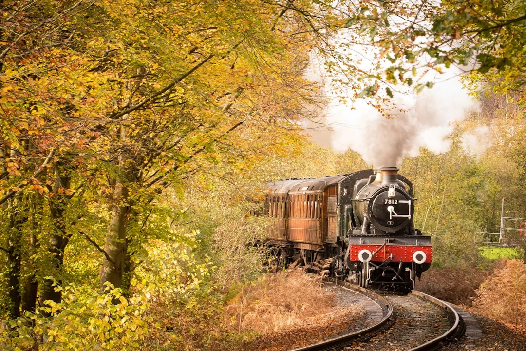 A vintage steam train travels along a curved track through a forest filled with golden autumn foliage