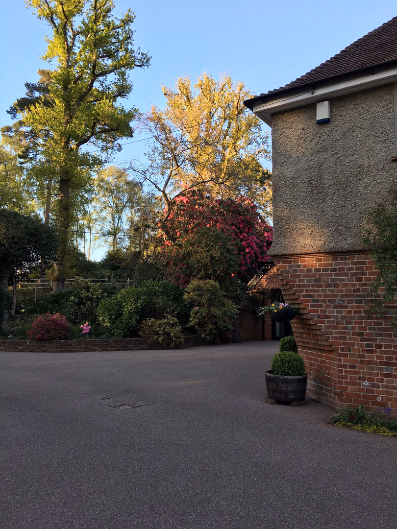 NewForest Manor for 18 with pool - Spacious interior of holiday rental in Hampshire